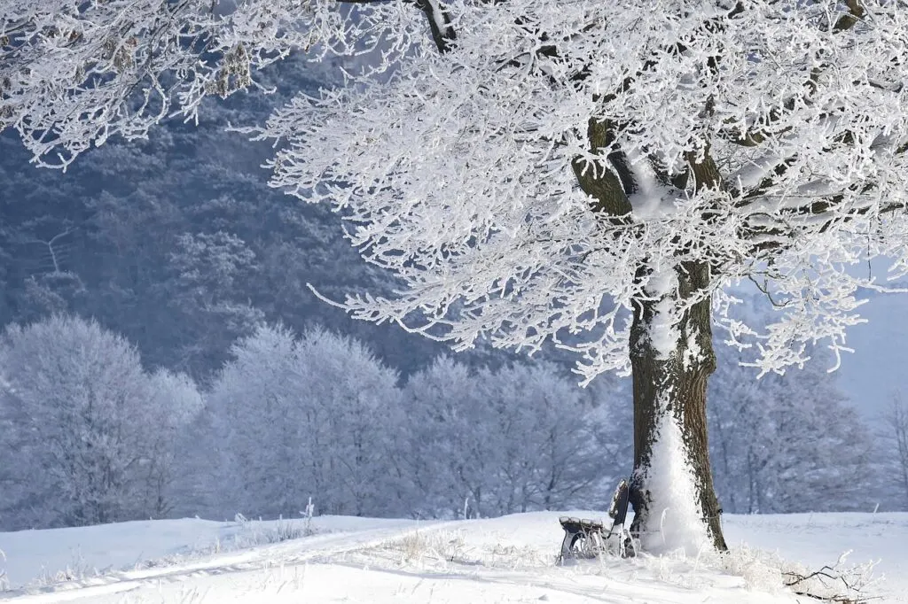 découvrez ce qu'est le 'bitcoin winter', ses impacts sur le marché des cryptomonnaies et comment les investisseurs peuvent naviguer cette période difficile.