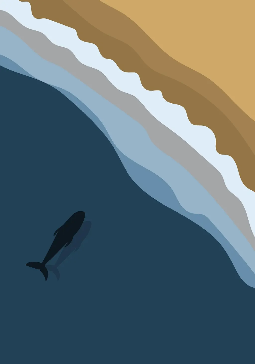 découvrez l'accumulation de bitcoins par les baleines du marché, leur impact sur les prix et les tendances d'investissement des grands détenteurs.