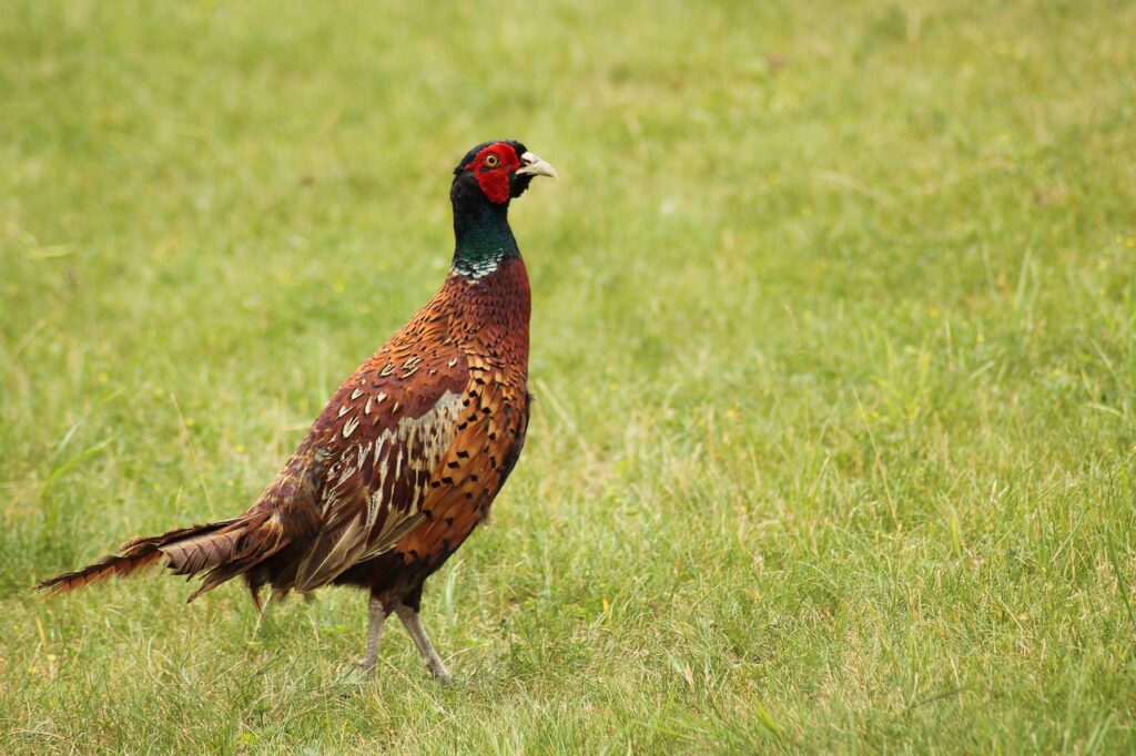 découvrez le concept de volatilité : mesure des fluctuations des prix sur les marchés financiers, impact sur les investissements et stratégies pour naviguer dans un environnement incertain.
