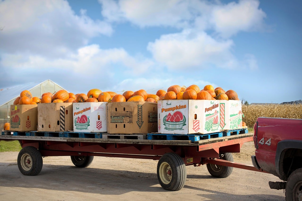 découvrez ce qu'est l'illiquid supply : définition, importance sur les marchés financiers et impact sur la volatilité des actifs, expliqué simplement.