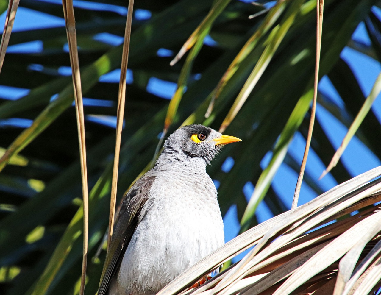 découvrez tout sur les mineurs : techniques, équipements, actualités et innovations dans le secteur de l'extraction minière.